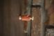 Батистова Подарункова текстильна стрічка VTILENE 3 м Light terracotta &mdash; ідеї для весільного декору, сервірування столу та фотозйомок VTILENE studio